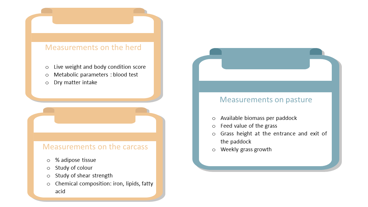 Mesures